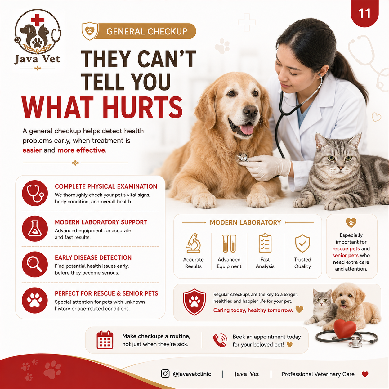 Veterinary blood test and pet laboratory Bali