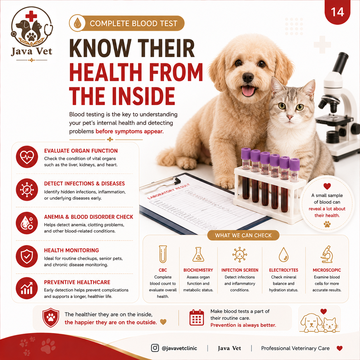 Complete blood test Bali for cats and dogs
