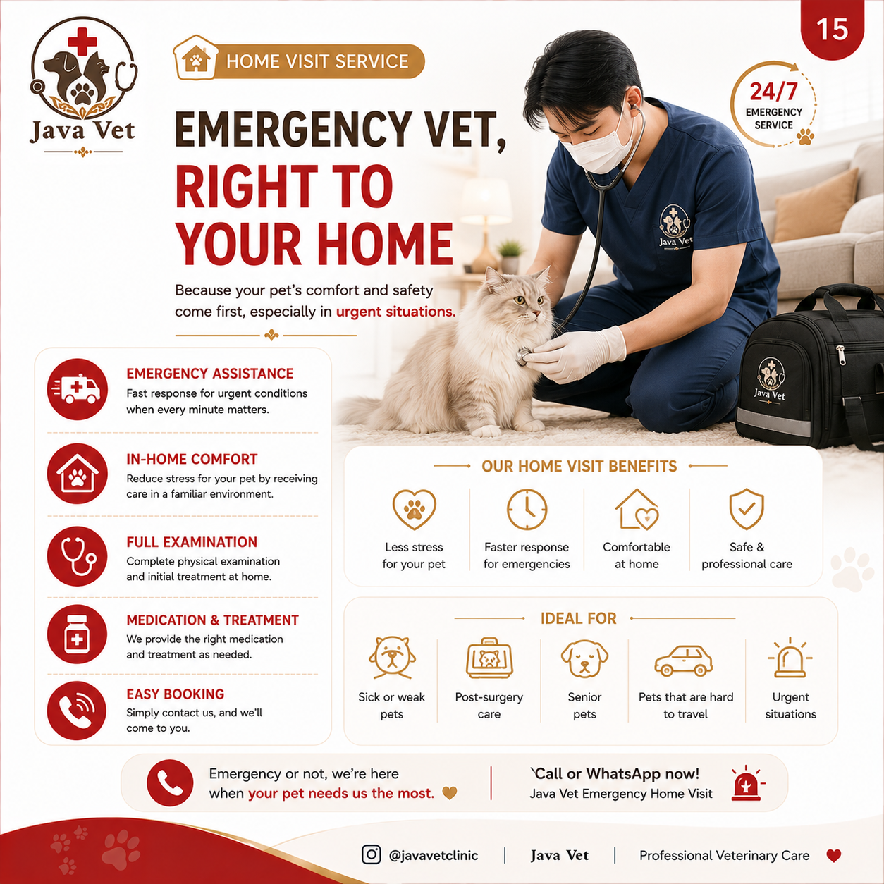 Emergency home visit vet service in Bali by Java Vet