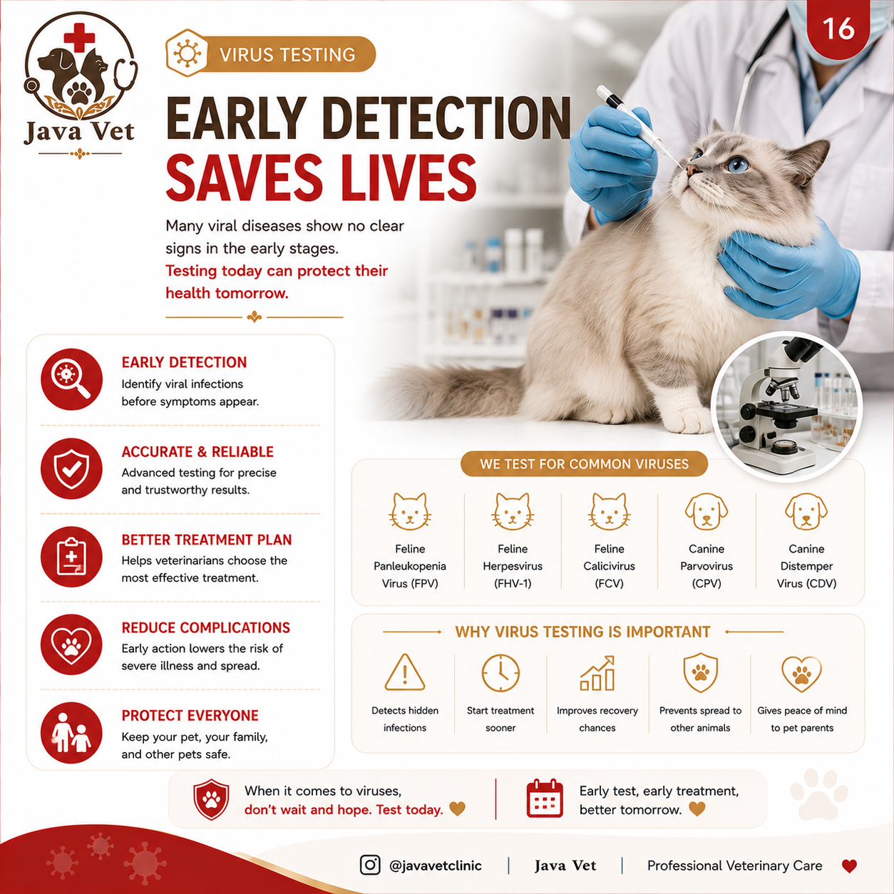 Veterinary clinic in Seseh Bali Java Vet