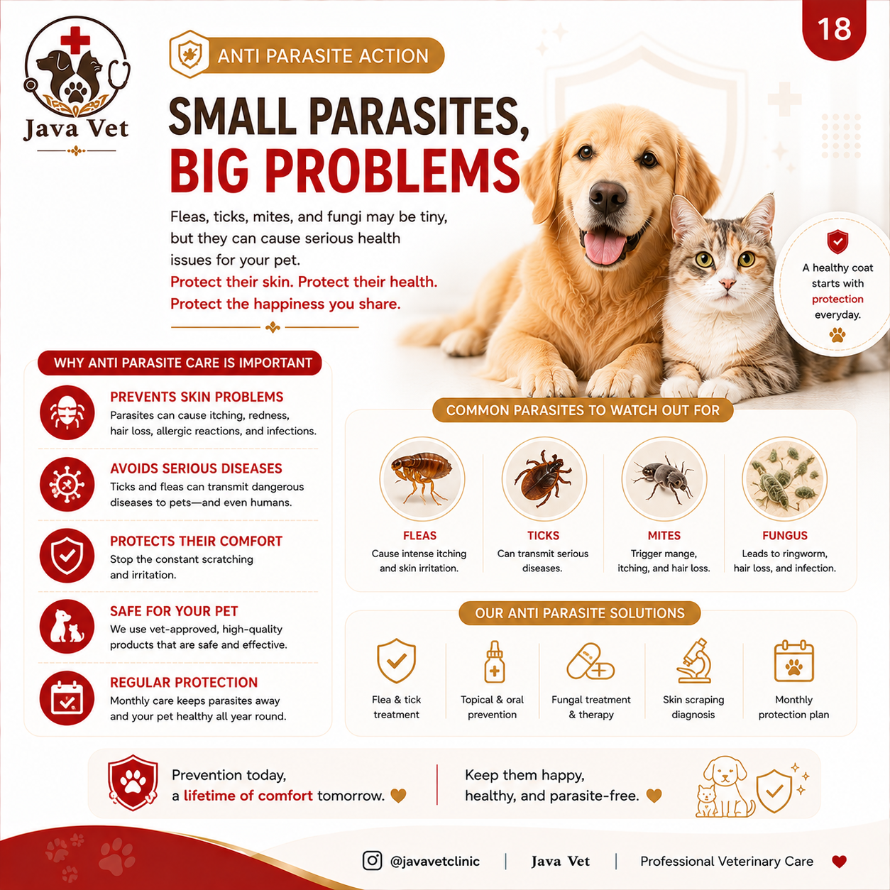 Advanced veterinary examination and biopsy Bali
